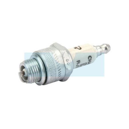 Bougie pour moteur Briggs & Stratton (591868)
