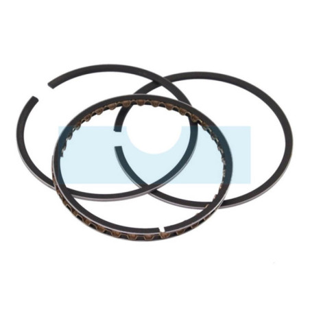 Kit segment pour moteur Kohler (235889)