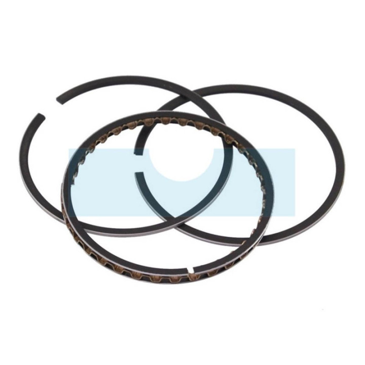 Kit segment pour moteur Kohler (235889)