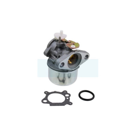 Carburateur pour moteur Briggs & Stratton (499059)