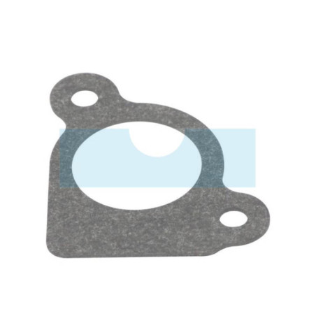 Joint d'admission pour moteur Briggs & Stratton (794306)