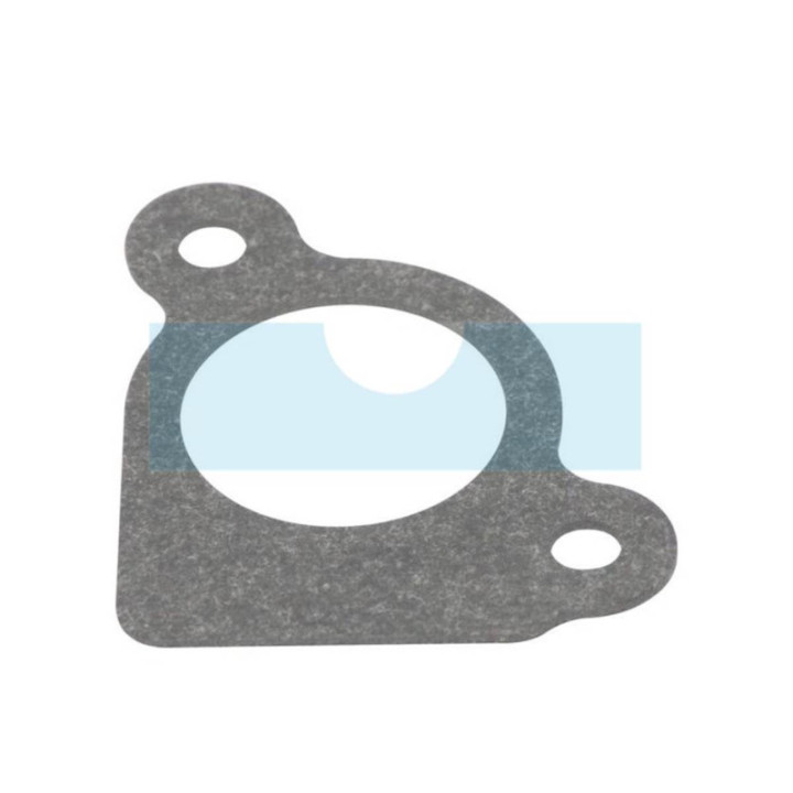 Joint d'admission pour moteur Briggs & Stratton (794306)