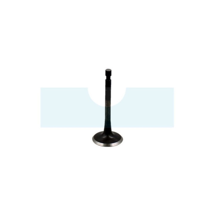 Soupape d'échappement pour souffleur Stihl (42820251903)