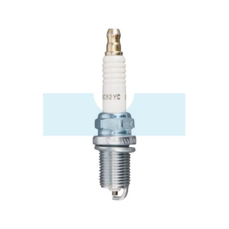 Bougie pour moteur Briggs & Stratton (797434)