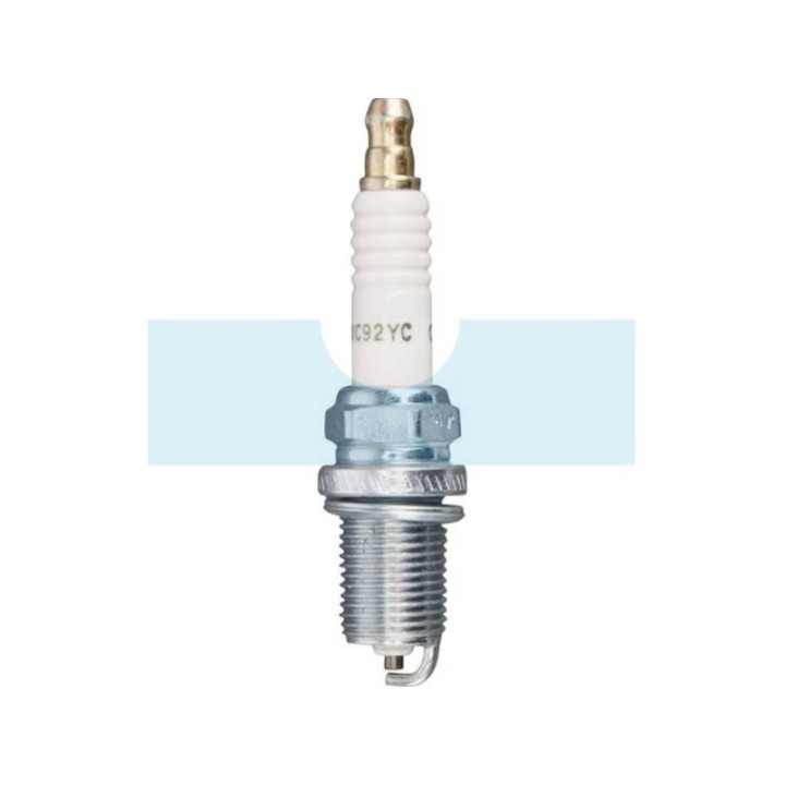 Bougie pour moteur Briggs & Stratton (797434)