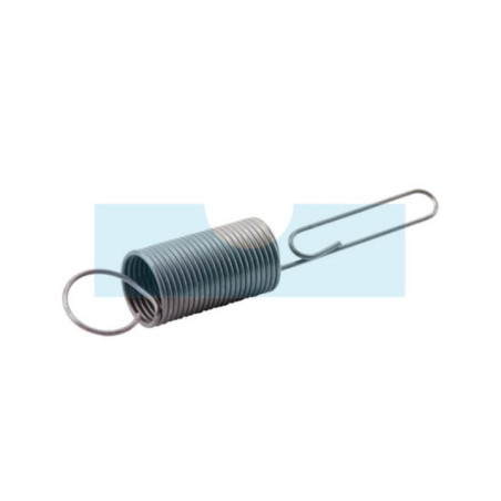 Ressort de regulateur pour moteur Briggs & Stratton (262663)