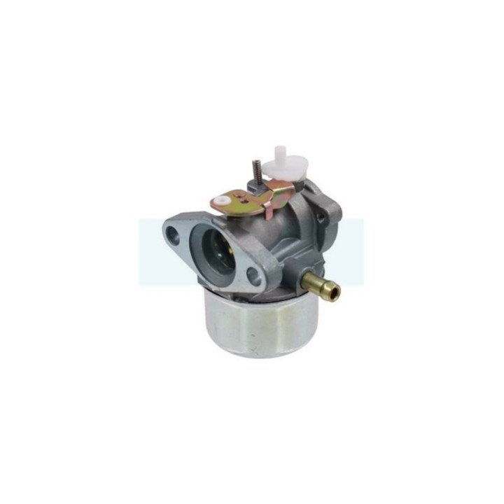 Carburateur pour moteur Briggs & Stratton (499059)