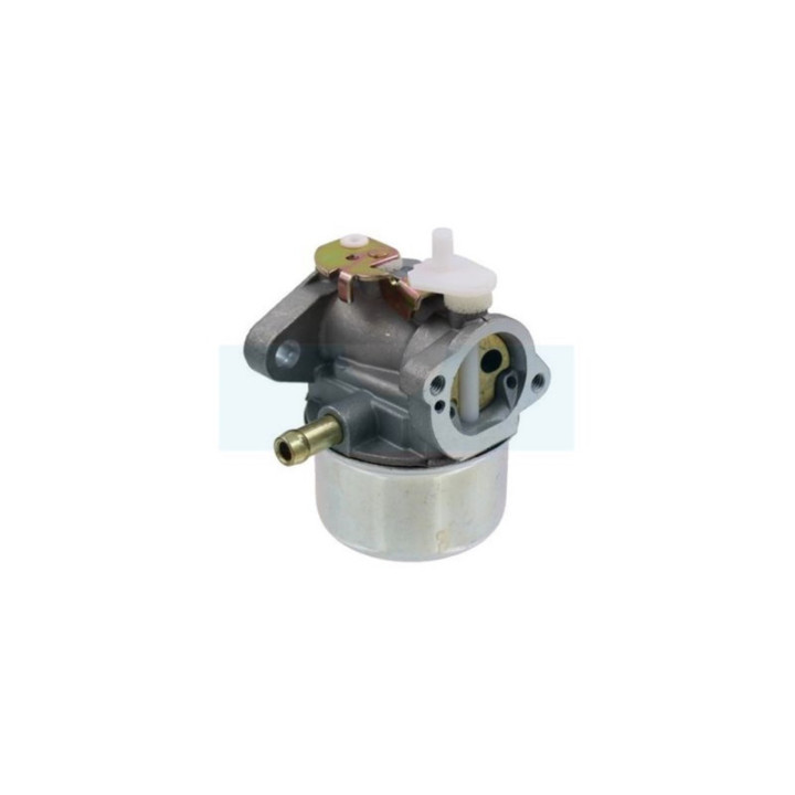 Carburateur pour moteur Briggs & Stratton (499059)