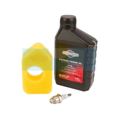 Pack révision pour Briggs & Stratton (992230)