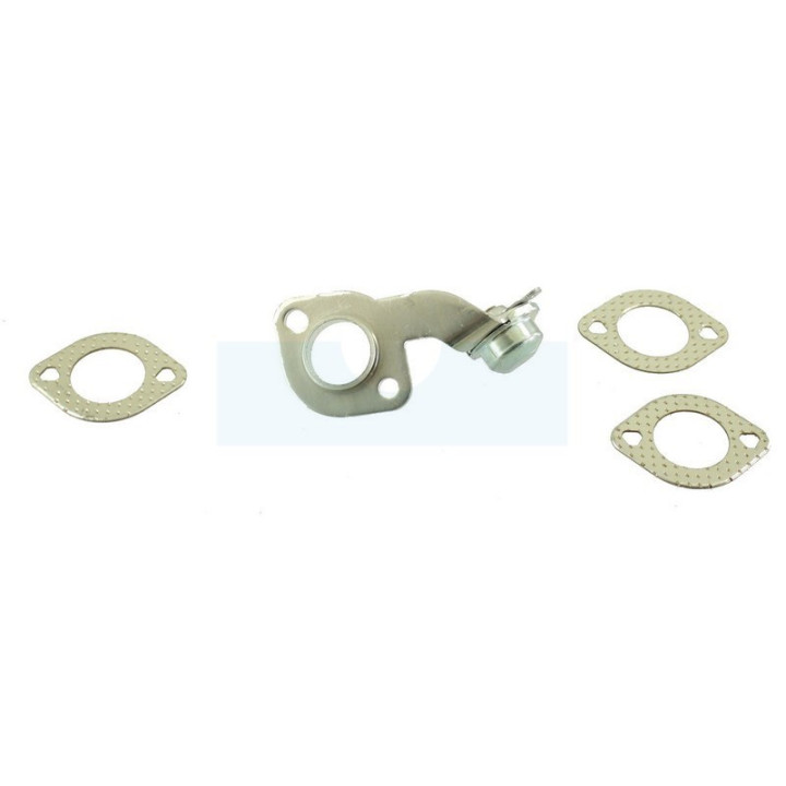 Thermostat pour Briggs & Stratton (799483)