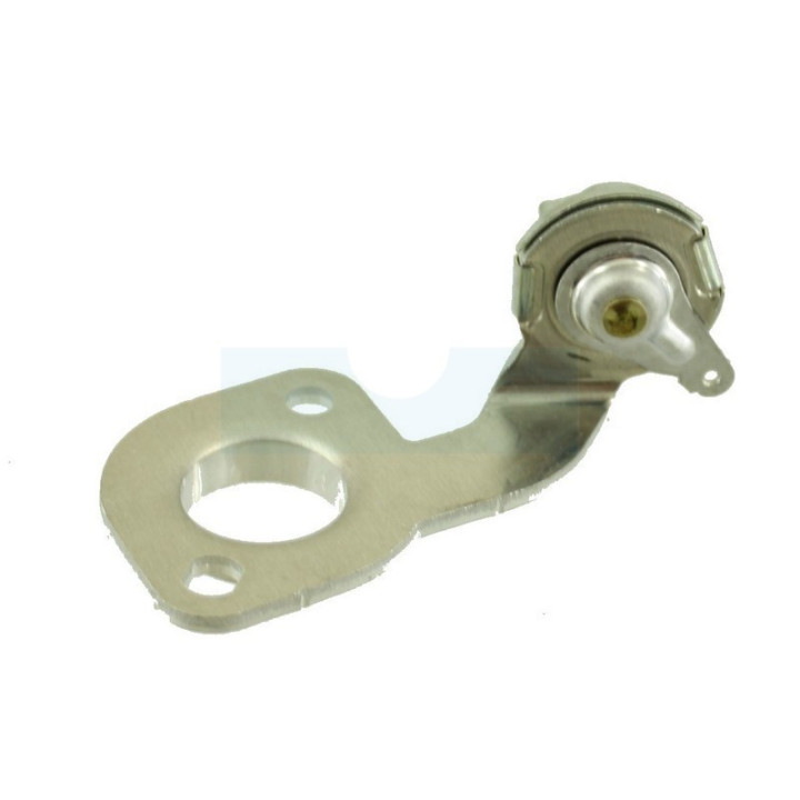Thermostat pour Briggs & Stratton (799483)