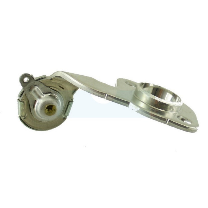 Thermostat pour Briggs & Stratton (799483)