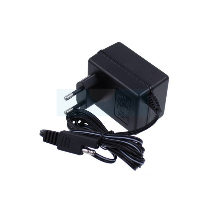 Chargeur de batterie 12V pour moteur Briggs & Stratton