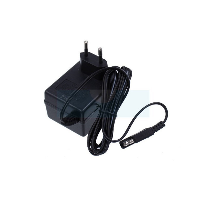 Chargeur de batterie 12V pour moteur Briggs & Stratton