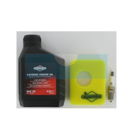Kit entretien série 450E, 500E pour Briggs & Stratton (992231)