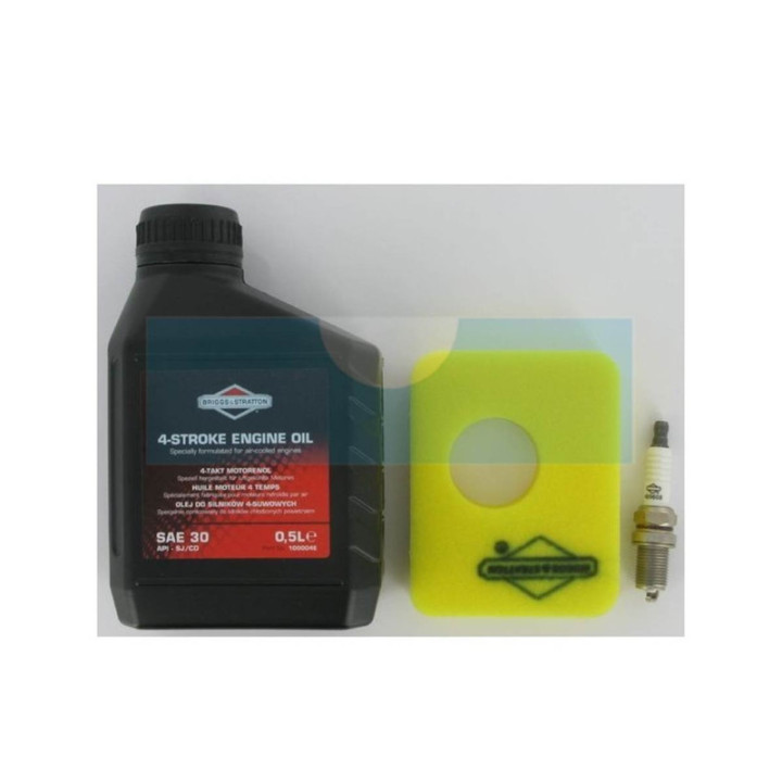 Kit entretien série 450E, 500E pour Briggs & Stratton (992231)
