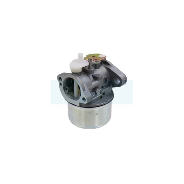 Carburateur pour moteur Briggs & Stratton (499059)