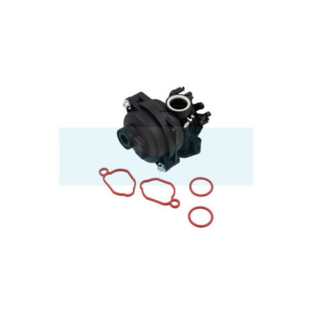 Carburateur pour moteur Briggs & Stratton (591109)