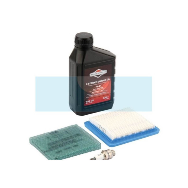 Kit d'entretien pour Briggs & Stratton (992233)