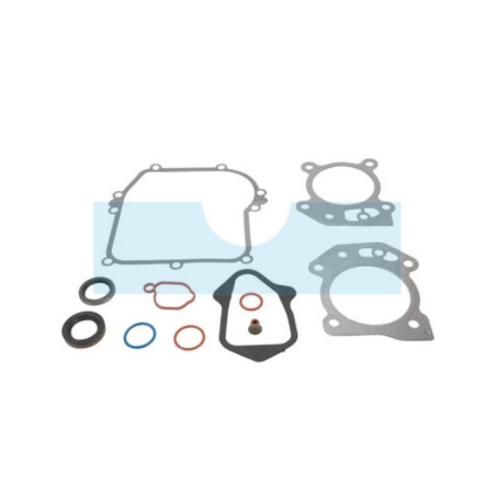 Pochette de joint pour moteur Briggs & Stratton (592640)
