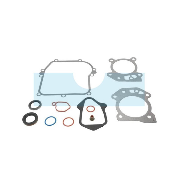 Pochette de joint pour moteur Briggs & Stratton (592640)