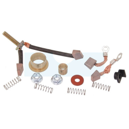 Jeu de charbons pour moteur démarreur Kohler (4875515)