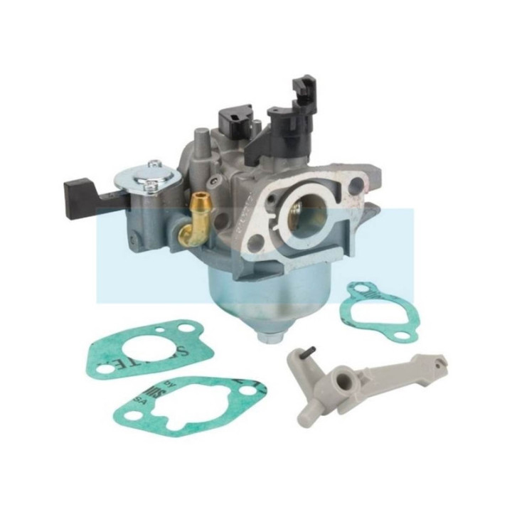 Carburateur pour moteur Briggs & Stratton (592236)