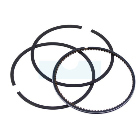 Kit segment pour moteur Briggs & Stratton (791787)