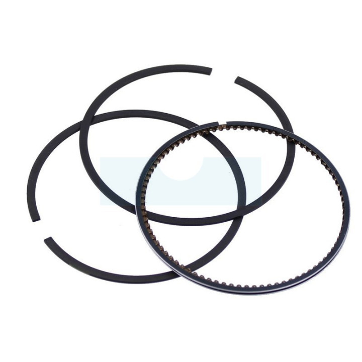 Kit segment pour moteur Briggs & Stratton (791787)