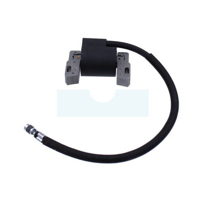 Bobine d'allumage pour moteur Briggs & Stratton (591459)