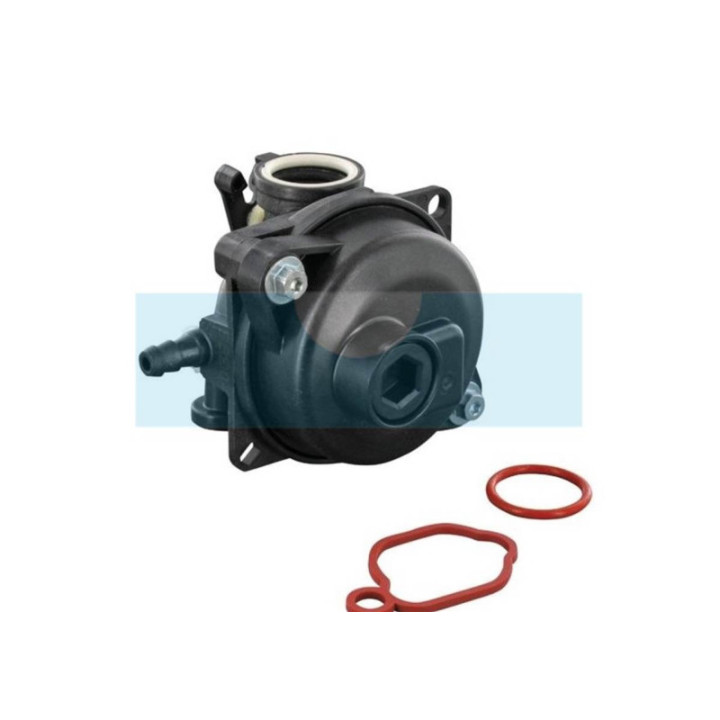 Carburateur pour moteur Briggs & Stratton (591110)