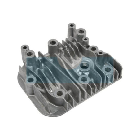 Culasse pour moteur Briggs & Stratton (590411)
