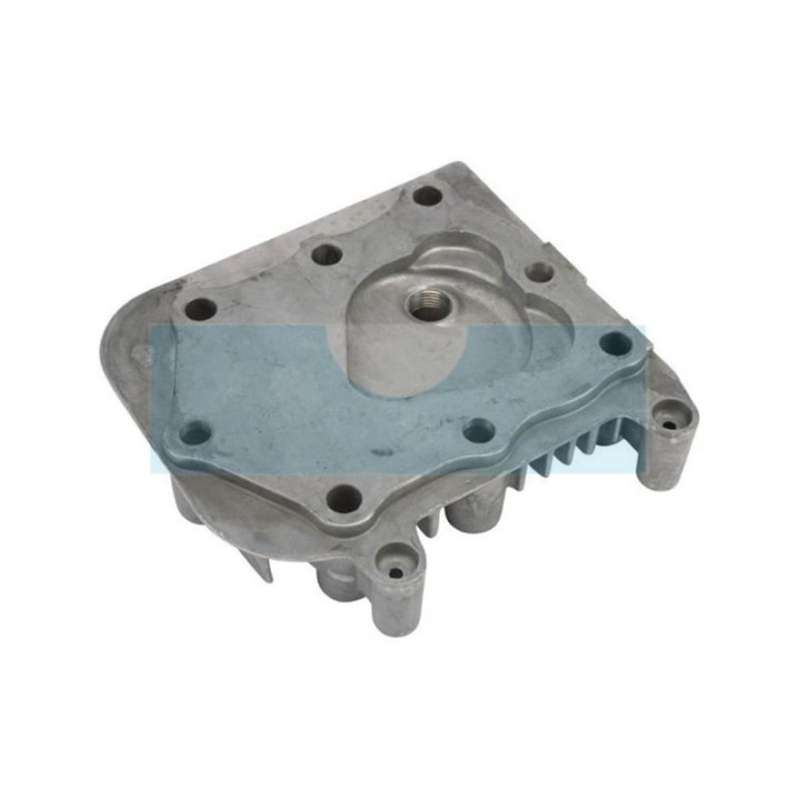 Culasse pour moteur Briggs & Stratton (590411)