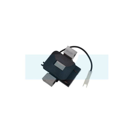 Alternateur pour moteur Briggs & Stratton (794103)
