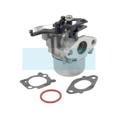 Carburateur pour moteur Briggs & Stratton (799479)