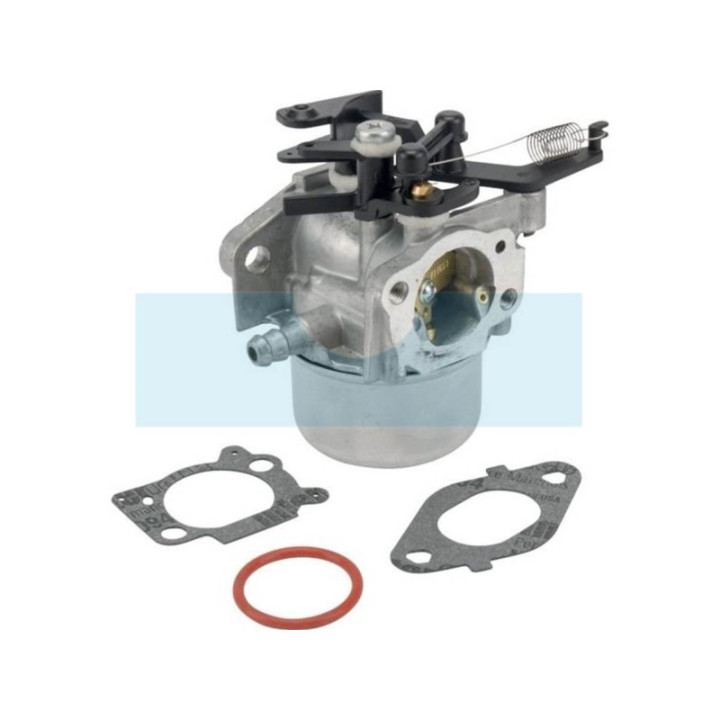 Carburateur pour moteur Briggs & Stratton (799479)