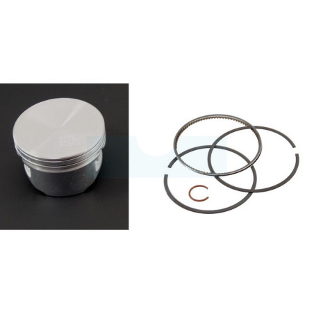 Piston pour moteur Briggs & Stratton (792023)