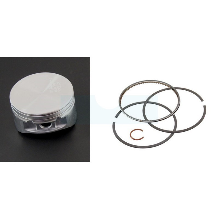 Piston pour moteur Briggs & Stratton (792023)
