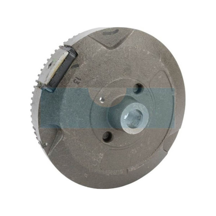 Volant d'inertie pour moteur Briggs & Stratton (591760)