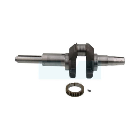 Vilebrequin pour moteur Briggs & Stratton (596006)