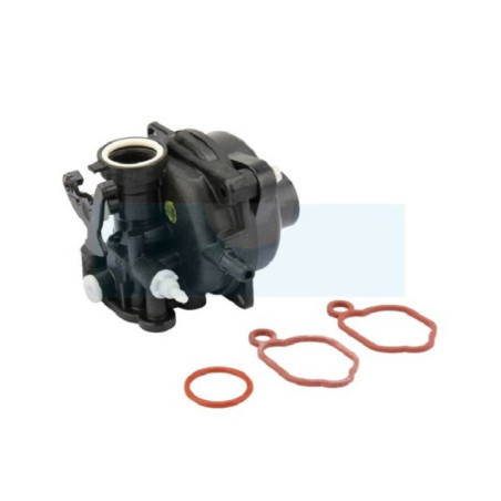 Carburateur pour moteur Briggs & Stratton (591160)