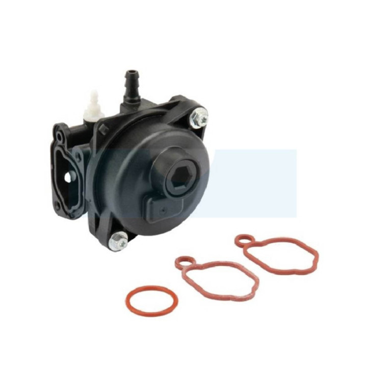 Carburateur pour moteur Briggs & Stratton (591160)