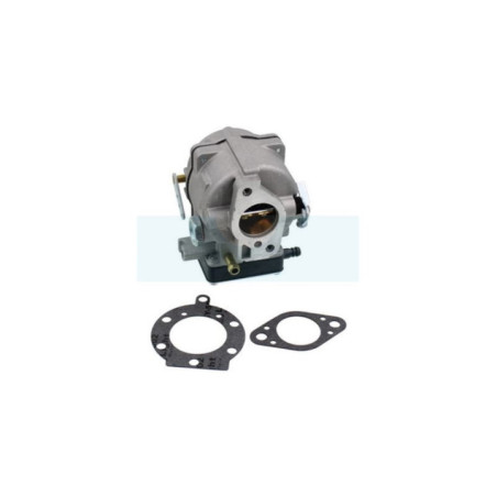 Carburateur pour moteur Briggs & Stratton (693480)
