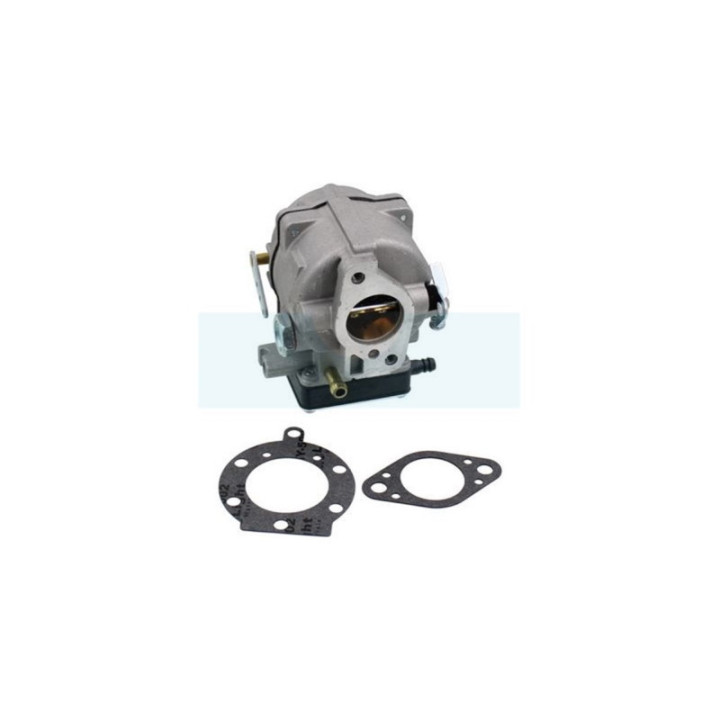Carburateur pour moteur Briggs & Stratton (693480)