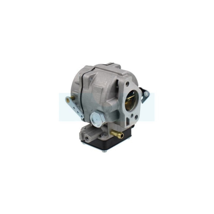 Carburateur pour moteur Briggs & Stratton (693480)