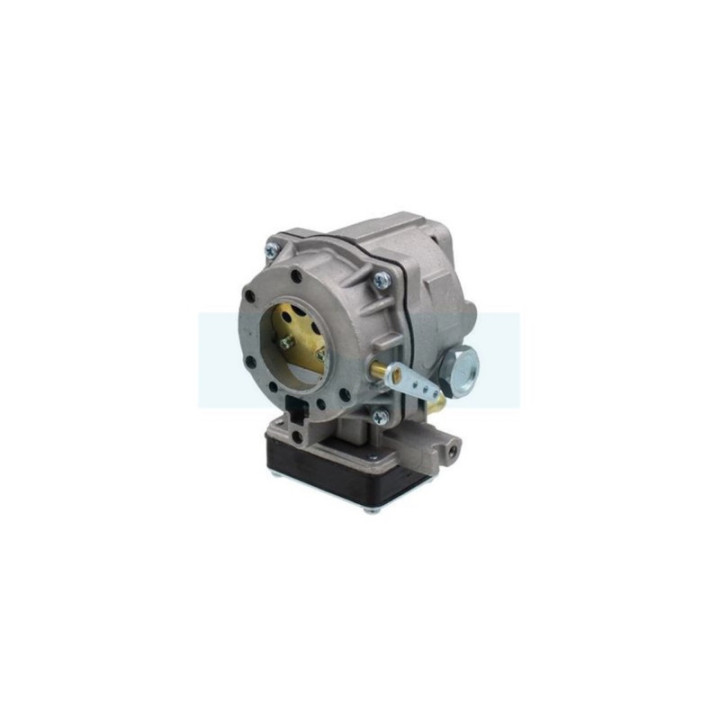 Carburateur pour moteur Briggs & Stratton (693480)