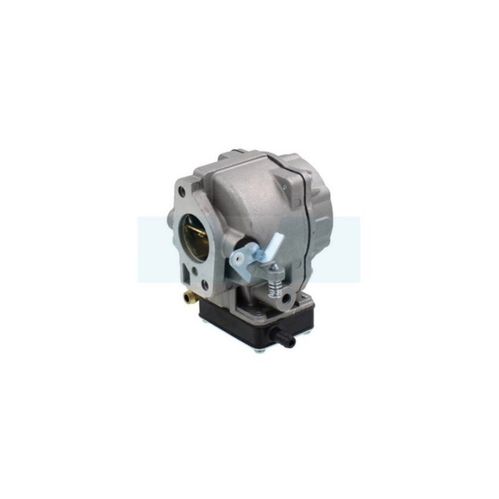 Carburateur pour moteur Briggs & Stratton (693480)