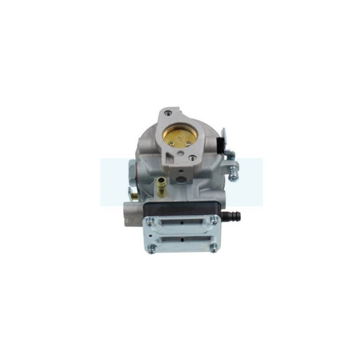 Carburateur pour moteur Briggs & Stratton (693480)