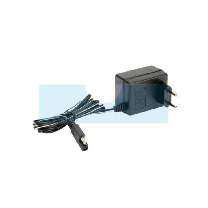 Chargeur de batterie pour Castelgarden / GGP (1182041201LC)
