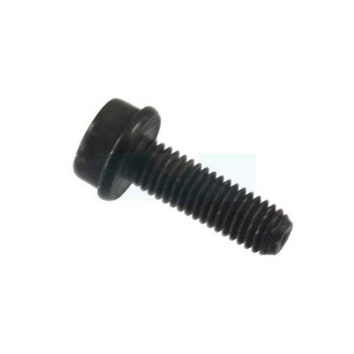 Vis itxscfm pour tronçonneuse / débroussailleuse / taille-haie / tracteur tondeuse Mc Culloch (525755101)